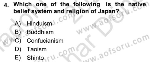 Contemporary World Civilizations Dersi 2023 - 2024 Yılı (Final) Dönem Sonu Sınav Soruları 4. Soru