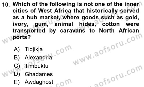 Contemporary World Civilizations Dersi 2023 - 2024 Yılı Yaz Okulu Sınav Soruları 10. Soru