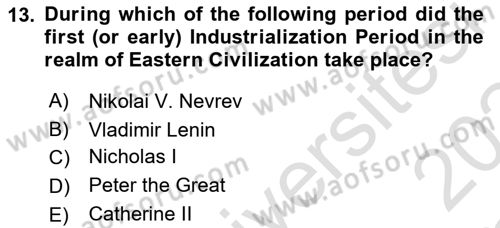Contemporary World Civilizations Dersi 2023 - 2024 Yılı Yaz Okulu Sınav Soruları 13. Soru