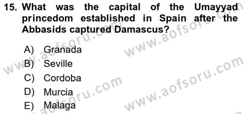 Contemporary World Civilizations Dersi 2023 - 2024 Yılı Yaz Okulu Sınav Soruları 15. Soru
