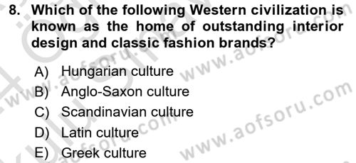 Contemporary World Civilizations Dersi 2023 - 2024 Yılı Yaz Okulu Sınav Soruları 8. Soru