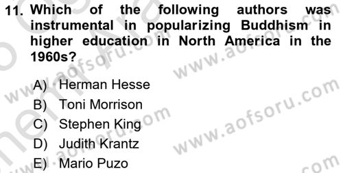 Contemporary World Civilizations Dersi 2024 - 2025 Yılı (Vize) Ara Sınav Soruları 11. Soru
