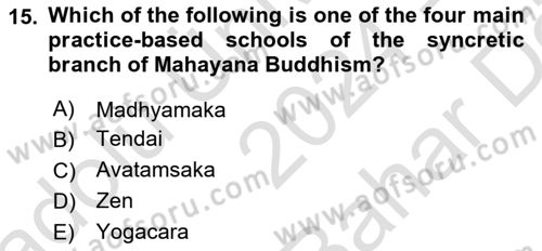 Contemporary World Civilizations Dersi 2024 - 2025 Yılı (Vize) Ara Sınav Soruları 15. Soru