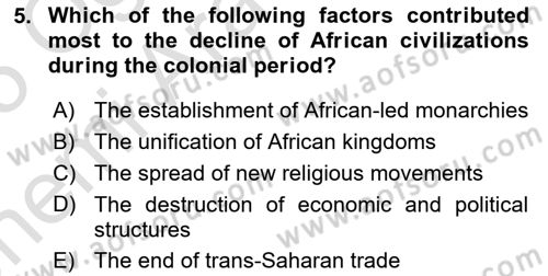 Contemporary World Civilizations Dersi 2024 - 2025 Yılı (Vize) Ara Sınav Soruları 5. Soru
