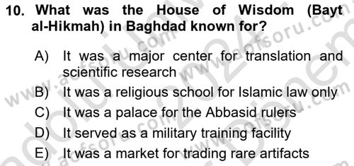 Contemporary World Civilizations Dersi 2024 - 2025 Yılı (Final) Dönem Sonu Sınav Soruları 10. Soru