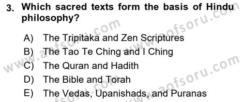 Contemporary World Civilizations Dersi 2024 - 2025 Yılı (Final) Dönem Sonu Sınav Soruları 3. Soru