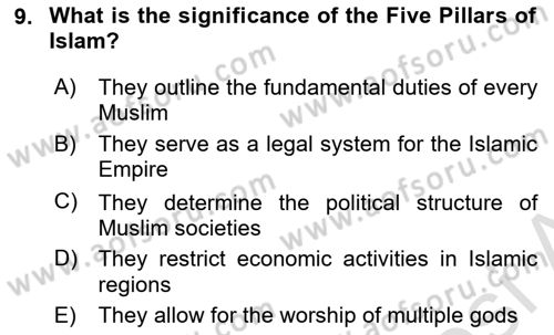 Contemporary World Civilizations Dersi 2024 - 2025 Yılı (Final) Dönem Sonu Sınav Soruları 9. Soru