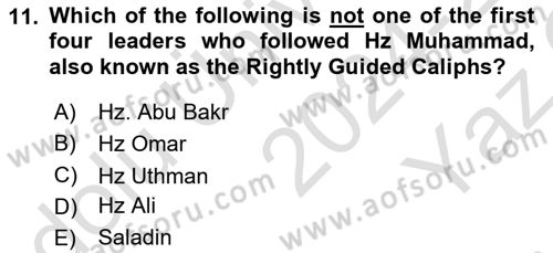 Contemporary World Civilizations Dersi 2024 - 2025 Yılı Yaz Okulu Sınav Soruları 11. Soru