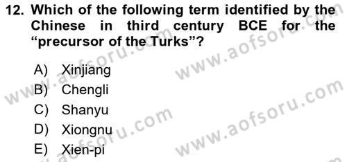 Contemporary World Civilizations Dersi 2024 - 2025 Yılı Yaz Okulu Sınav Soruları 12. Soru