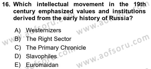 Contemporary World Civilizations Dersi 2024 - 2025 Yılı Yaz Okulu Sınav Soruları 16. Soru
