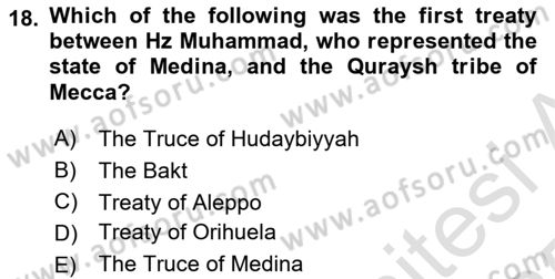 Contemporary World Civilizations Dersi 2024 - 2025 Yılı Yaz Okulu Sınav Soruları 18. Soru