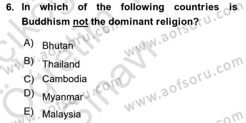 Contemporary World Civilizations Dersi 2024 - 2025 Yılı Yaz Okulu Sınav Soruları 6. Soru