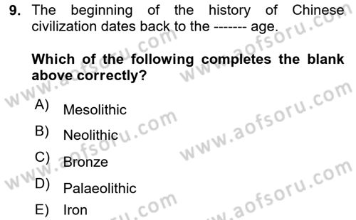 Contemporary World Civilizations Dersi 2024 - 2025 Yılı Yaz Okulu Sınav Soruları 9. Soru