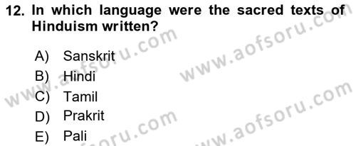 Contemporary World Civilizations Dersi 2025 - 2026 Yılı (Vize) Ara Sınav Soruları 12. Soru