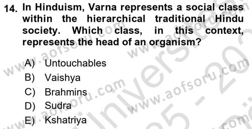 Contemporary World Civilizations Dersi 2025 - 2026 Yılı (Vize) Ara Sınav Soruları 14. Soru