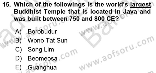 Contemporary World Civilizations Dersi 2025 - 2026 Yılı (Vize) Ara Sınav Soruları 15. Soru