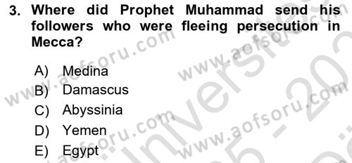 Contemporary World Civilizations Dersi 2025 - 2026 Yılı (Vize) Ara Sınav Soruları 3. Soru
