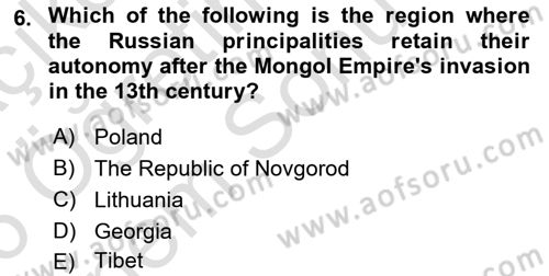Contemporary World Civilizations Dersi 2025 - 2026 Yılı (Final) Dönem Sonu Sınav Soruları 6. Soru