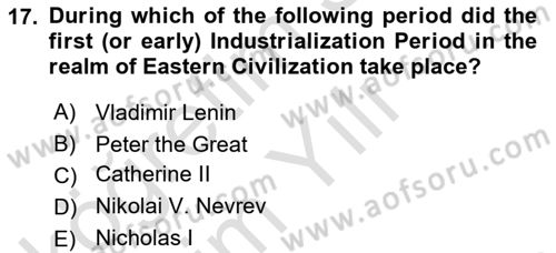 Contemporary World Civilizations Dersi 2025 - 2026 Yılı Yaz Okulu Sınav Soruları 17. Soru