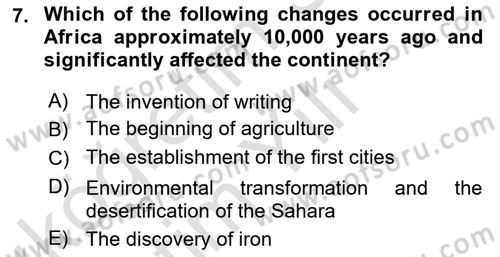Contemporary World Civilizations Dersi 2025 - 2026 Yılı Yaz Okulu Sınav Soruları 7. Soru