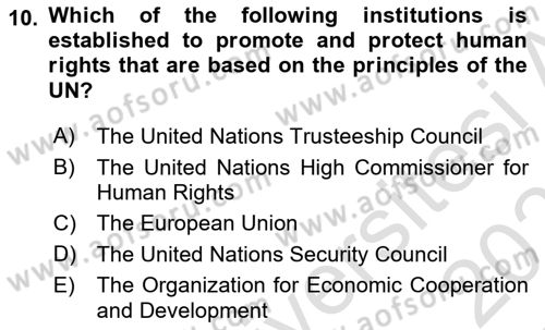 International Politics Dersi 2020 - 2021 Yılı Yaz Okulu Sınav Soruları 10. Soru