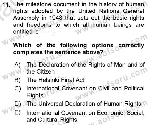 International Politics Dersi 2020 - 2021 Yılı Yaz Okulu Sınav Soruları 11. Soru