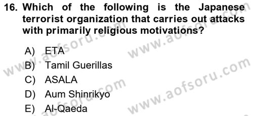 International Politics Dersi 2020 - 2021 Yılı Yaz Okulu Sınav Soruları 16. Soru