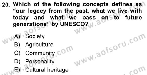 International Politics Dersi 2020 - 2021 Yılı Yaz Okulu Sınav Soruları 20. Soru
