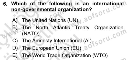 International Politics Dersi 2020 - 2021 Yılı Yaz Okulu Sınav Soruları 6. Soru