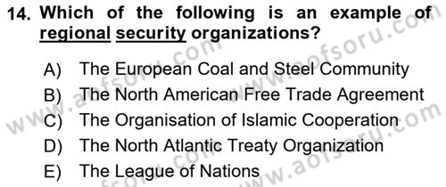 International Politics Dersi 2021 - 2022 Yılı (Vize) Ara Sınav Soruları 14. Soru