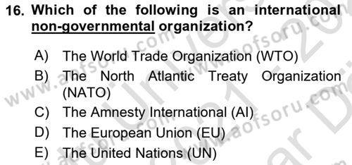 International Politics Dersi 2021 - 2022 Yılı (Vize) Ara Sınav Soruları 16. Soru