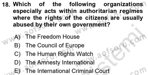 International Politics Dersi 2021 - 2022 Yılı (Vize) Ara Sınav Soruları 18. Soru