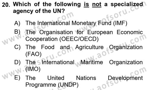 International Politics Dersi 2021 - 2022 Yılı (Vize) Ara Sınav Soruları 20. Soru