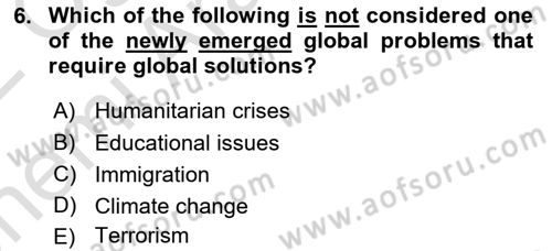 International Politics Dersi 2021 - 2022 Yılı (Vize) Ara Sınav Soruları 6. Soru
