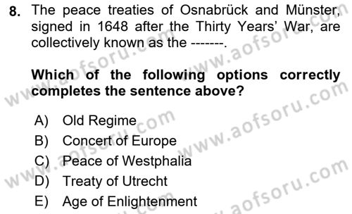 International Politics Dersi 2021 - 2022 Yılı (Vize) Ara Sınav Soruları 8. Soru