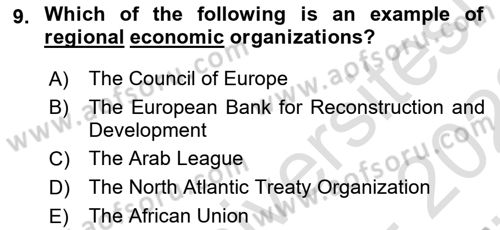 International Politics Dersi 2021 - 2022 Yılı (Vize) Ara Sınav Soruları 9. Soru
