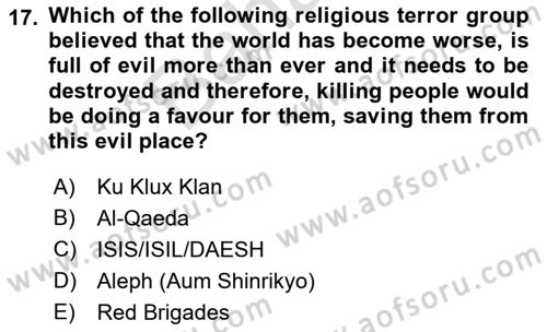 International Politics Dersi 2021 - 2022 Yılı (Final) Dönem Sonu Sınav Soruları 17. Soru
