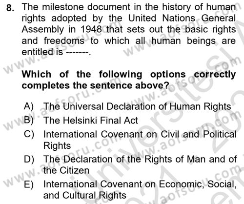 International Politics Dersi 2021 - 2022 Yılı (Final) Dönem Sonu Sınav Soruları 8. Soru