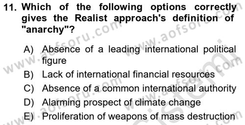International Politics Dersi 2021 - 2022 Yılı Yaz Okulu Sınav Soruları 11. Soru