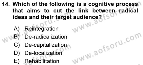 International Politics Dersi 2021 - 2022 Yılı Yaz Okulu Sınav Soruları 14. Soru
