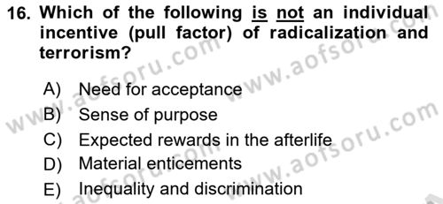 International Politics Dersi 2021 - 2022 Yılı Yaz Okulu Sınav Soruları 16. Soru