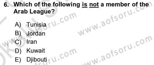 International Politics Dersi 2021 - 2022 Yılı Yaz Okulu Sınav Soruları 6. Soru