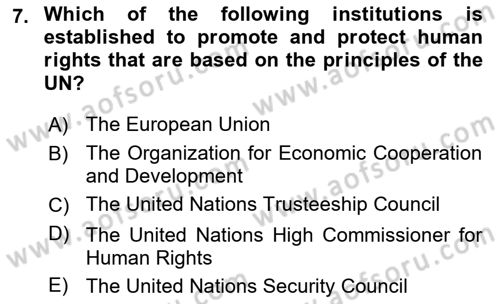 International Politics Dersi 2021 - 2022 Yılı Yaz Okulu Sınav Soruları 7. Soru