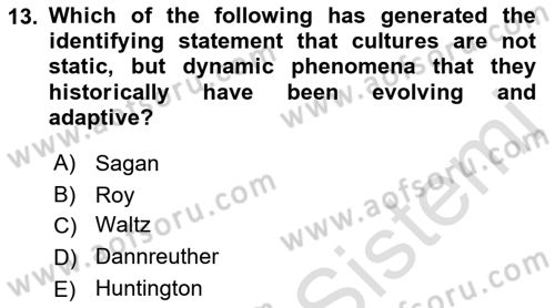 International Politics Dersi 2022 - 2023 Yılı Yaz Okulu Sınav Soruları 13. Soru