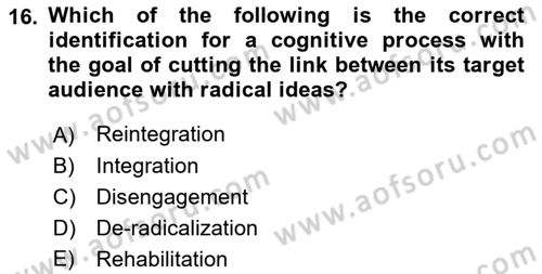 International Politics Dersi 2022 - 2023 Yılı Yaz Okulu Sınav Soruları 16. Soru