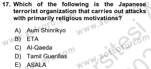 International Politics Dersi 2022 - 2023 Yılı Yaz Okulu Sınav Soruları 17. Soru