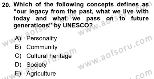 International Politics Dersi 2022 - 2023 Yılı Yaz Okulu Sınav Soruları 20. Soru