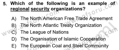 International Politics Dersi 2022 - 2023 Yılı Yaz Okulu Sınav Soruları 5. Soru