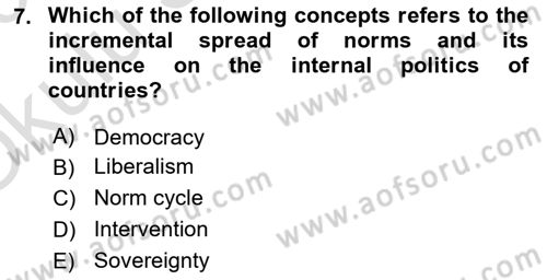 International Politics Dersi 2022 - 2023 Yılı Yaz Okulu Sınav Soruları 7. Soru