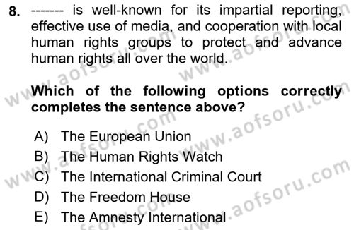 International Politics Dersi 2022 - 2023 Yılı Yaz Okulu Sınav Soruları 8. Soru